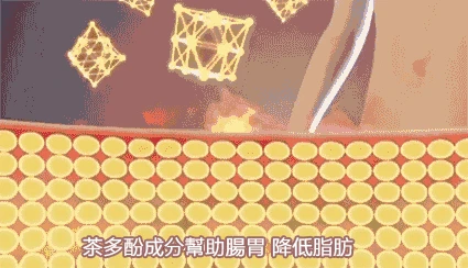 1710400350878487.gif